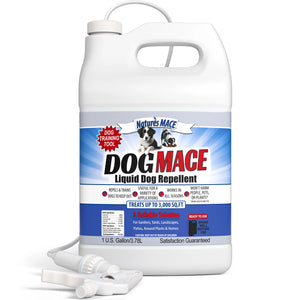 Dog MACE 1 Gallon Ready to Use Spray Dog Repellent and Training Tool
