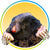 Mole Repellent