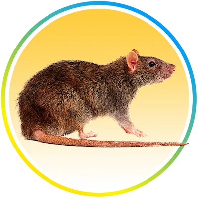 Nature's MACE Rodent Repellent