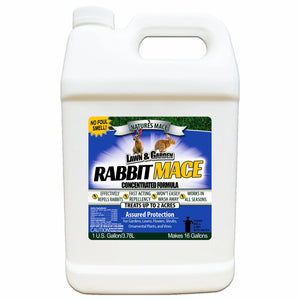 Rabbit MACE Liquid 1 Gallon rabbit repellent