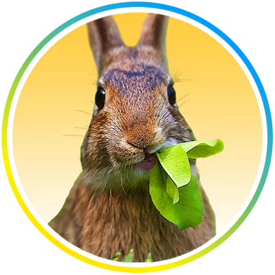 Nature's MACE Rabbit Repellent