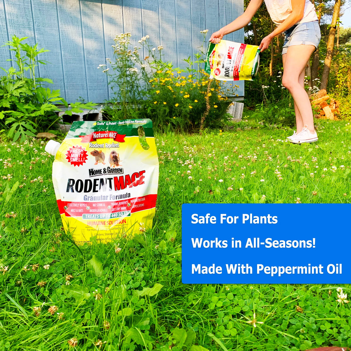 Rodent MACE Safe for Plants and works in all seasons