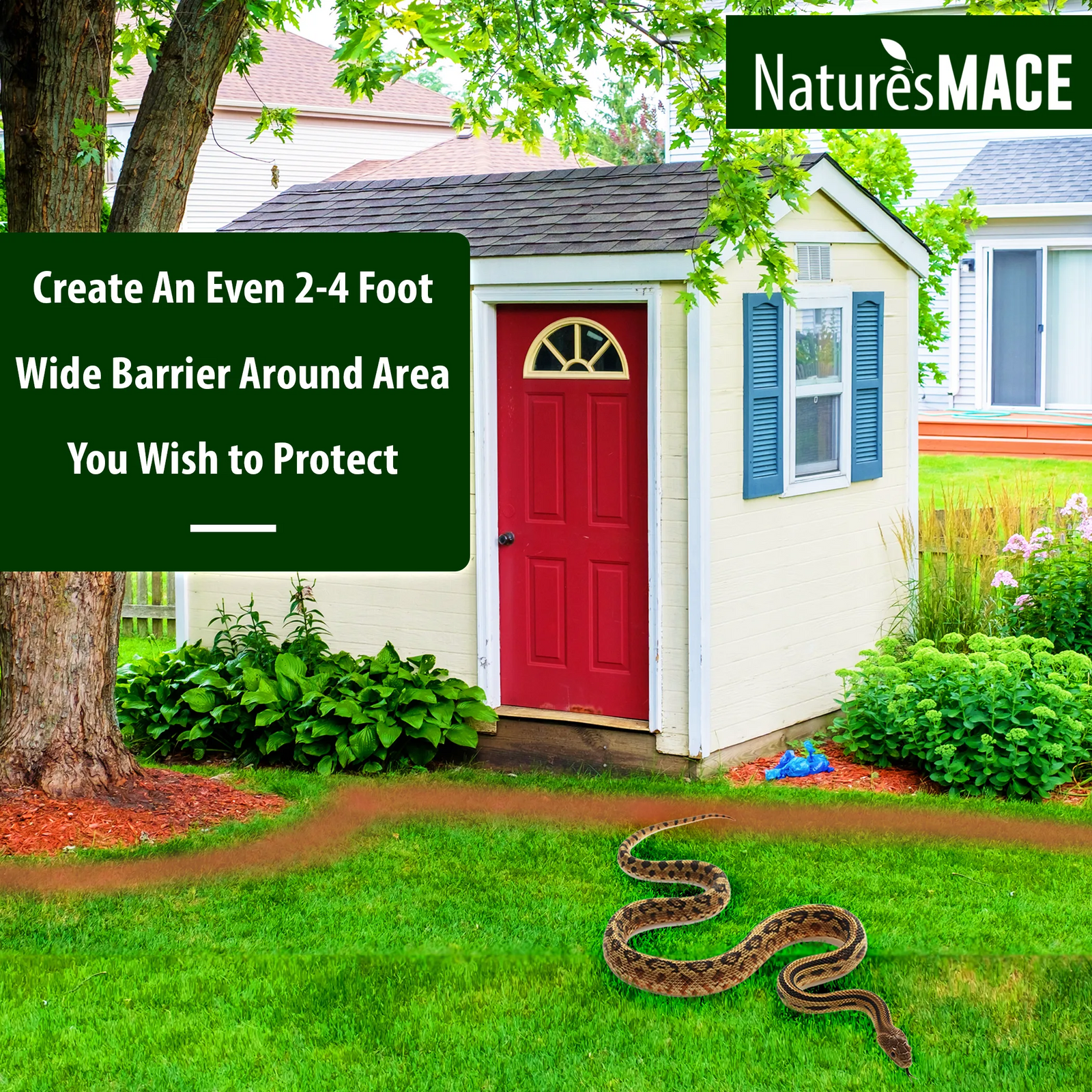 Snake MACE Directions | gallery:all