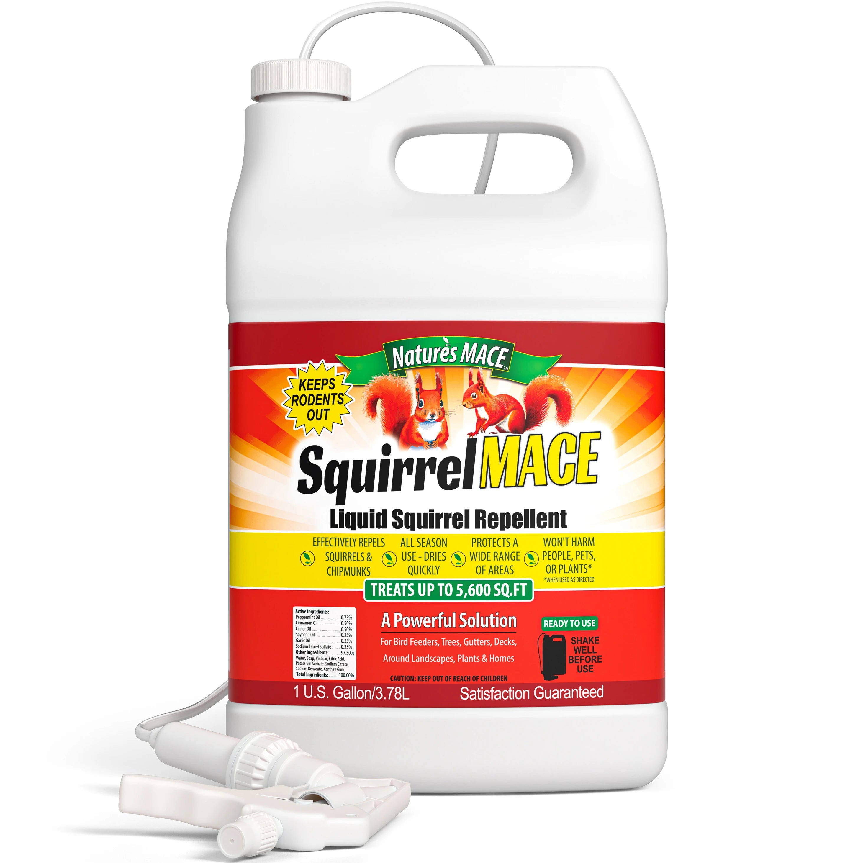 spray to keep squirrels out of garden Natures MACE Squirrel Repellent Concentrate, 1 Gallon
