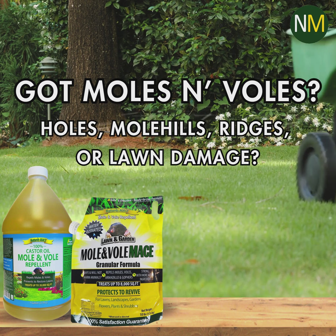 Mole and Vole MACE Video | gallery:all