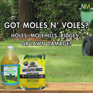 Nature's MACE Granular Mole & Vole Repellent