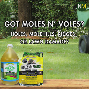 Nature's MACE Granular Mole & Vole Repellent