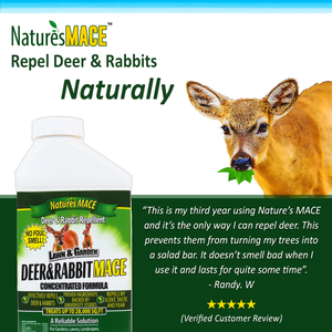 Deer and Rabbit Discouragement Kit