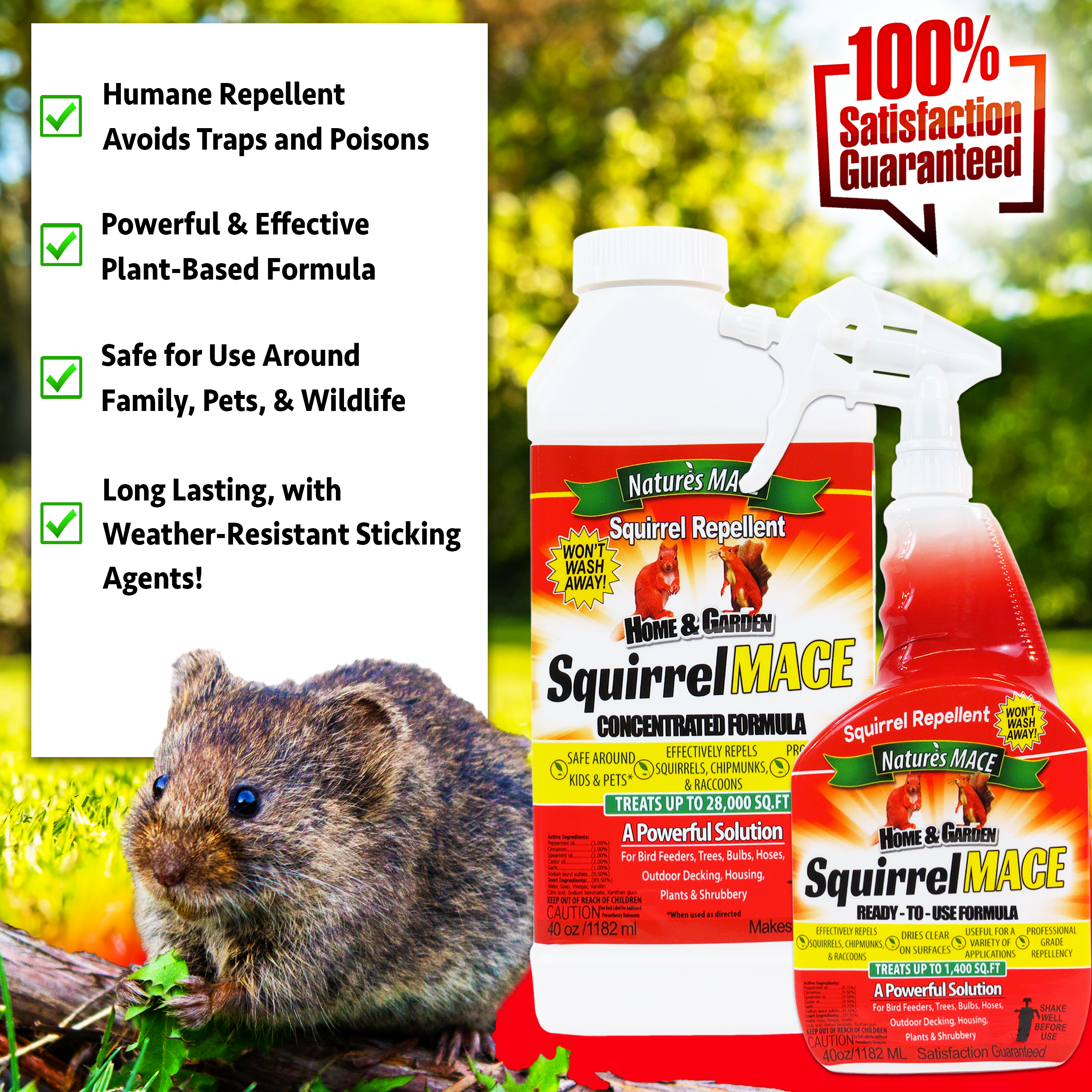 Are Squirrels Smart Enough To Avoid Traps? - Peachtree Pest Control