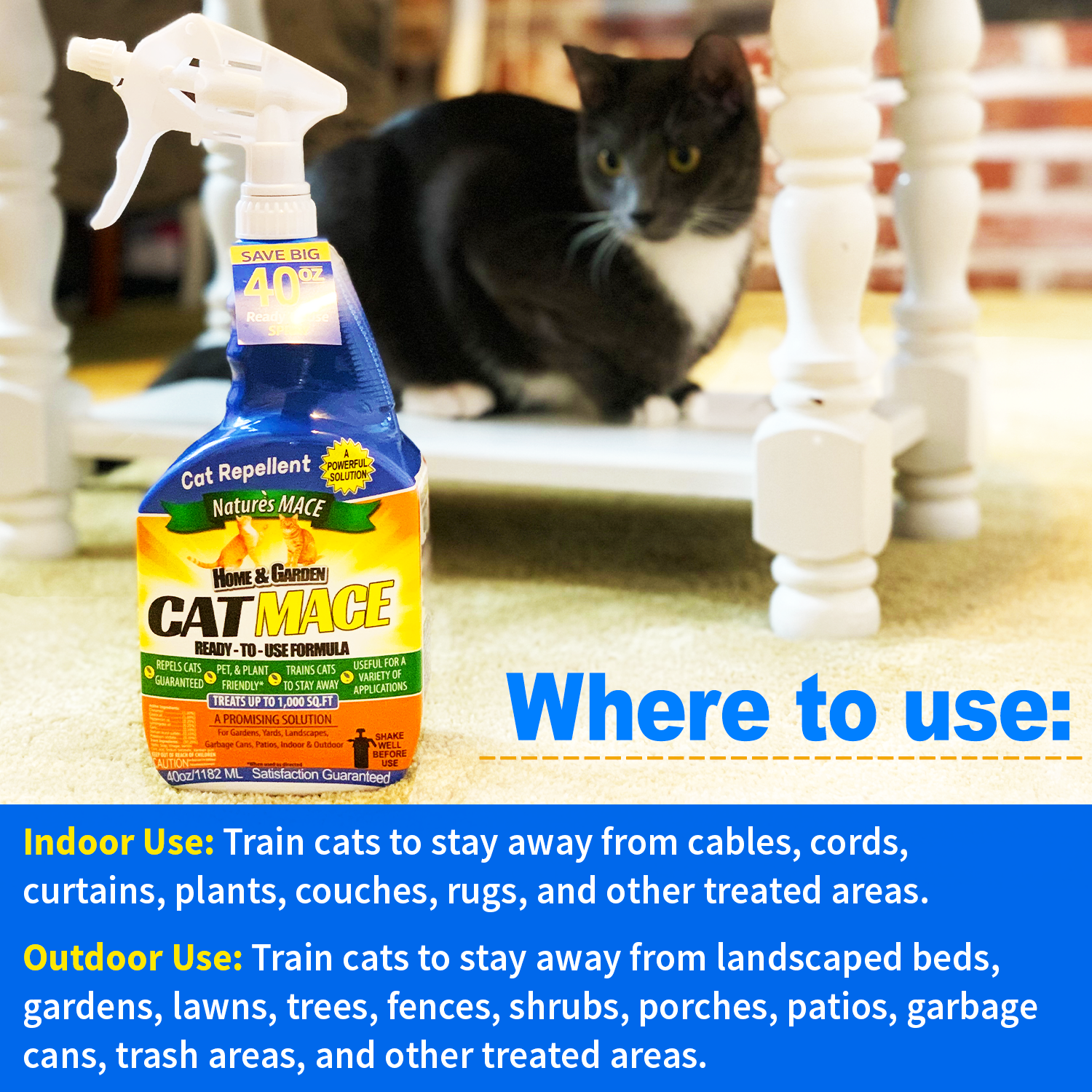Stray cat deterrent clearance spray