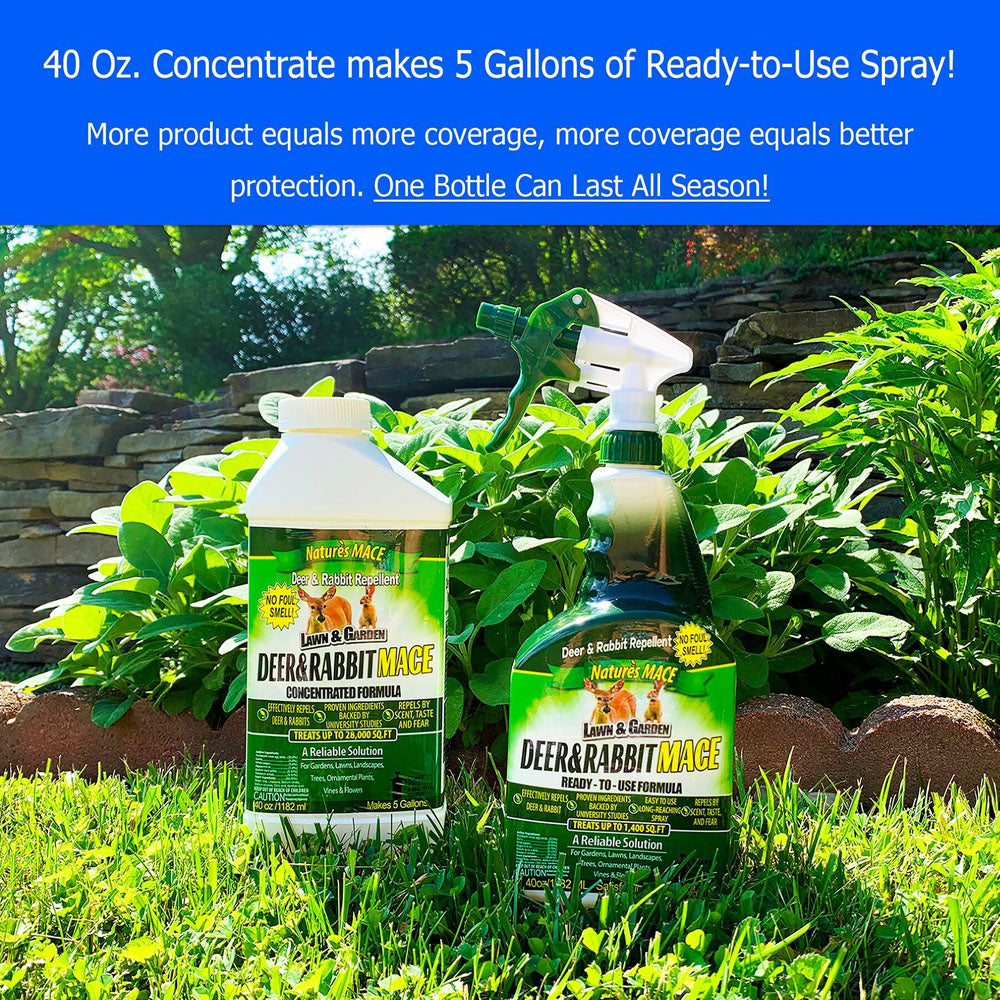 Natures MACE Deer and Rabbit MACE Concentrate | gallery:all