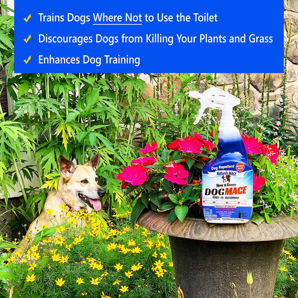 Nature's MACE Dog MACE Liquid uses | gallery:all