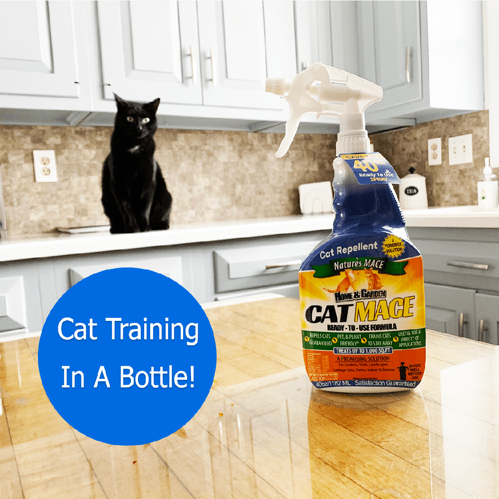 Cat MACE Cat Repellent and Training Tool Spray or Concentrate