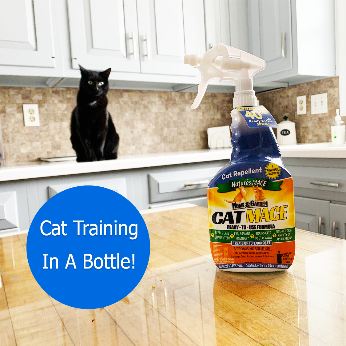 Homemade cat deterrent shop