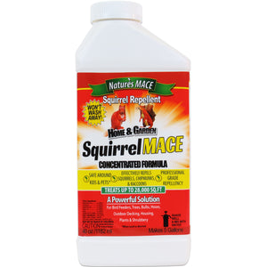 Squirrel MACE Squirrel Repellent 40oz squirrel repellent 